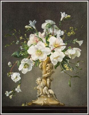 White Flowers