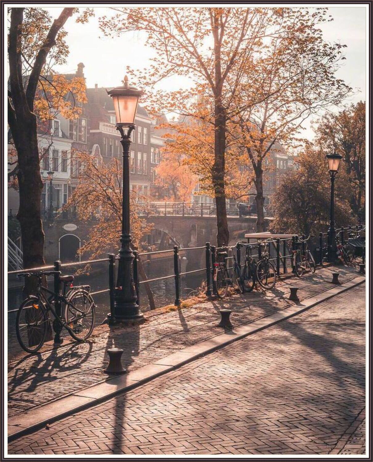 Amsterdam in Autumn