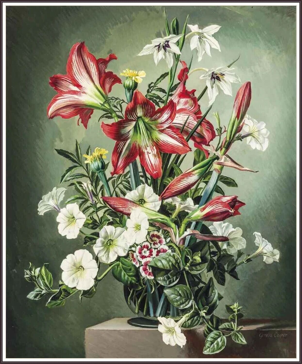 Red and White