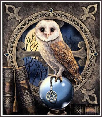 Harry Potter&#39;s Owl
