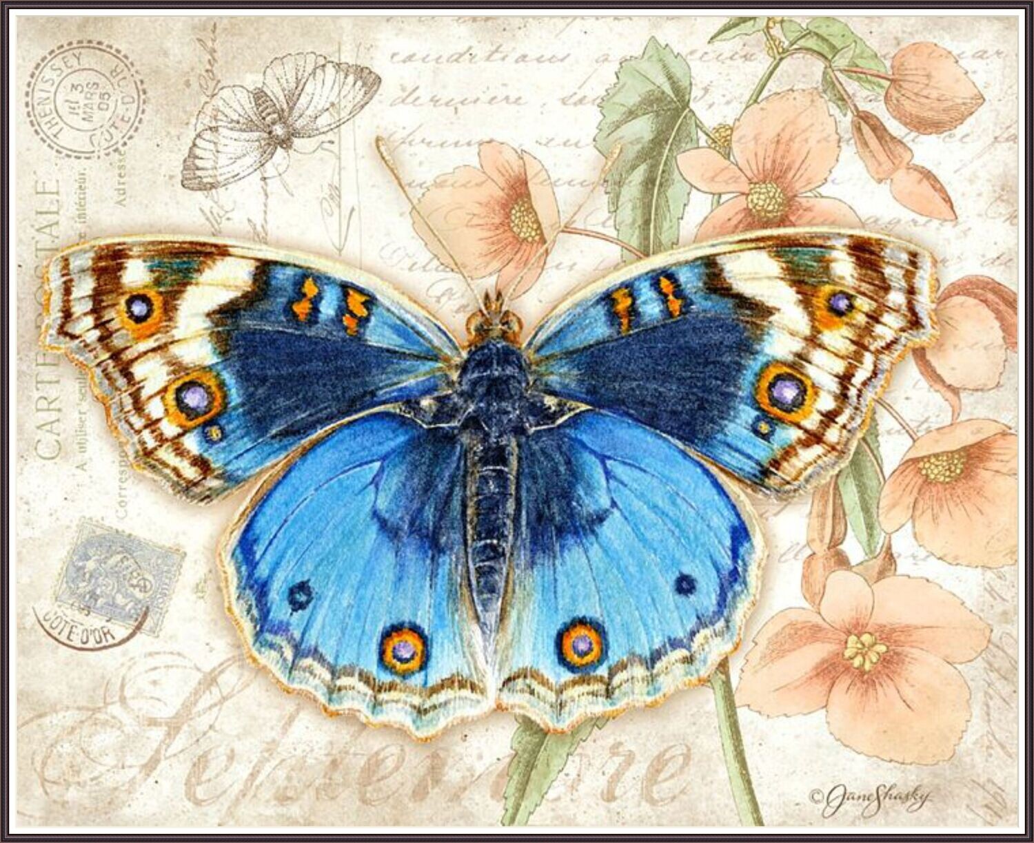 Butterfly Lover