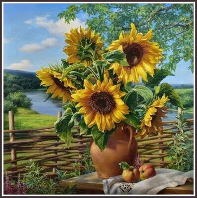 Sunflower