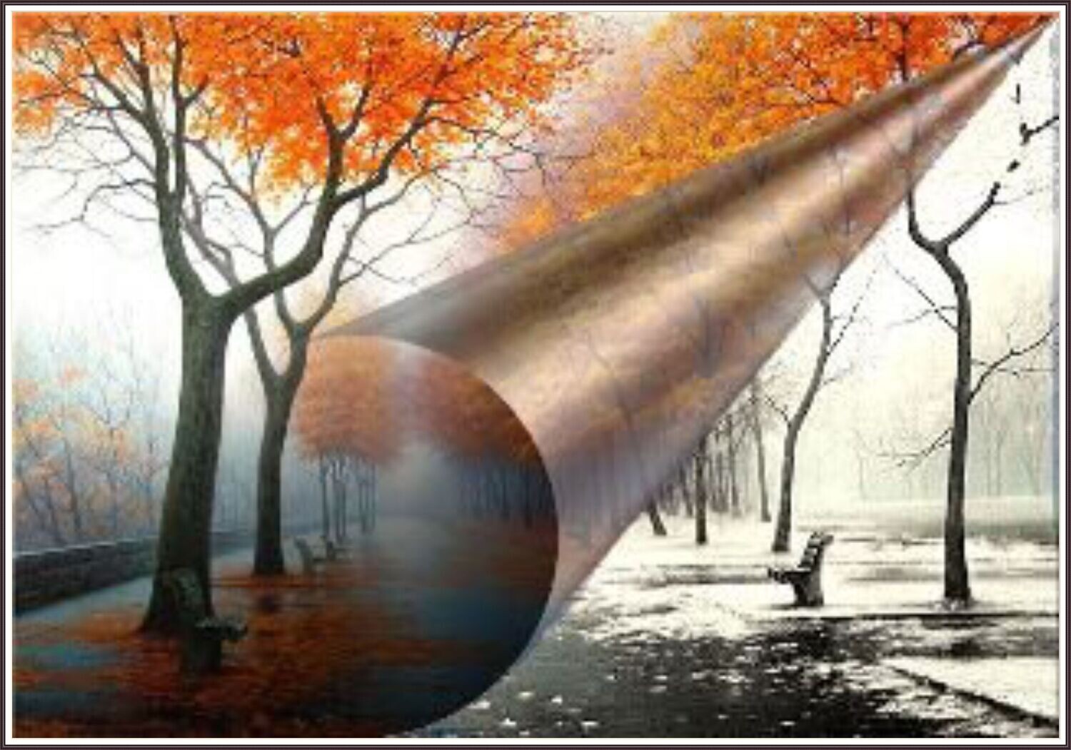 The Beauty of Opposites
