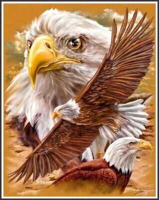 Forest Eagle