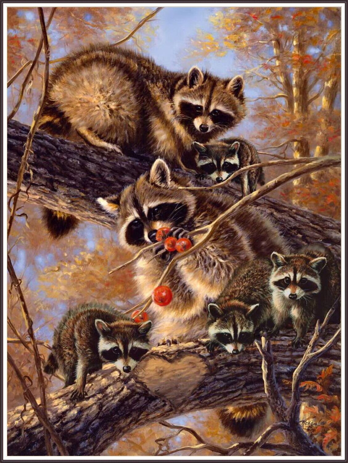 Raccoon&#39;s Family