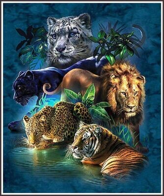 Big Cats