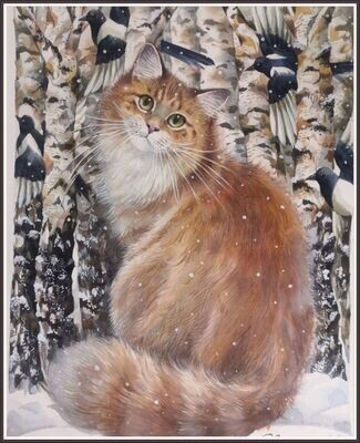 Cat In Snow