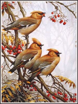 The changing seasons