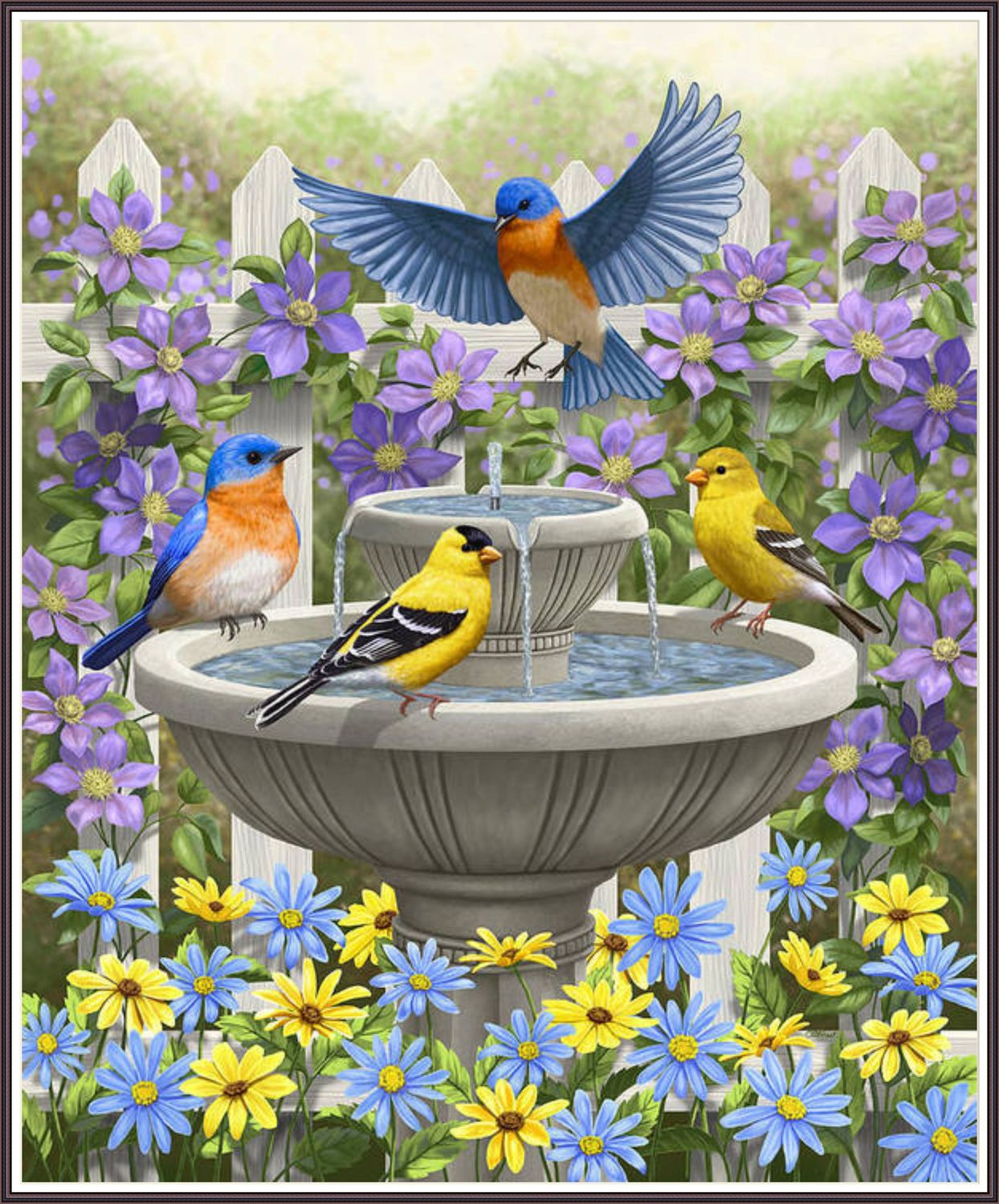 Bird Baths