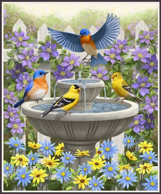 Bird Baths