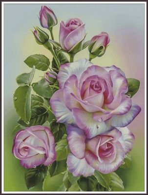 Roses &amp; Bud