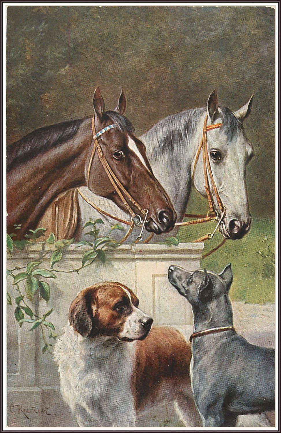 Horse and Dogs