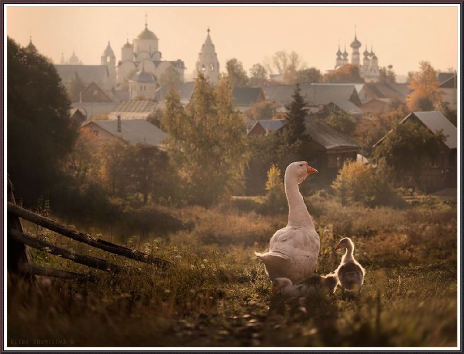 Late Summer