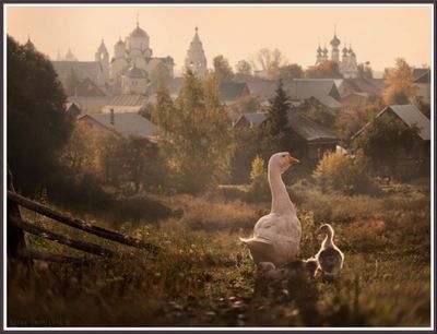 Late Summer