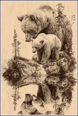 Grizzly Bear
