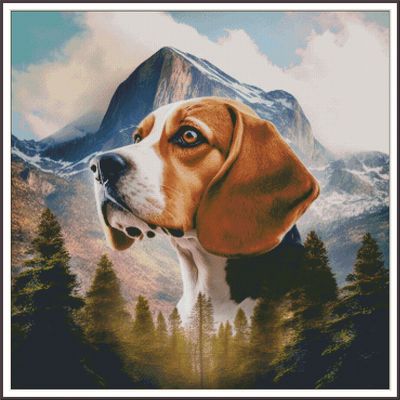 Mountain Adventure