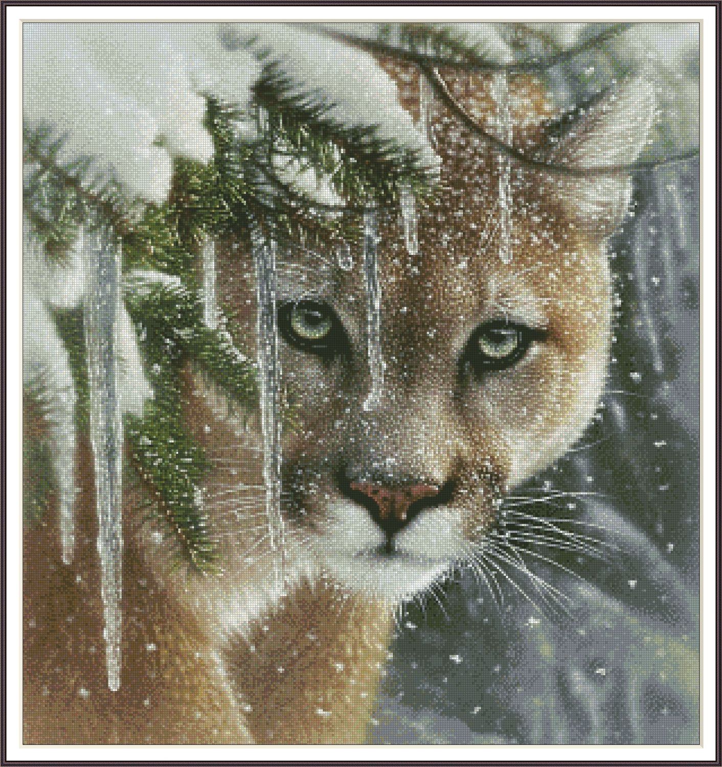 Snow Leopard