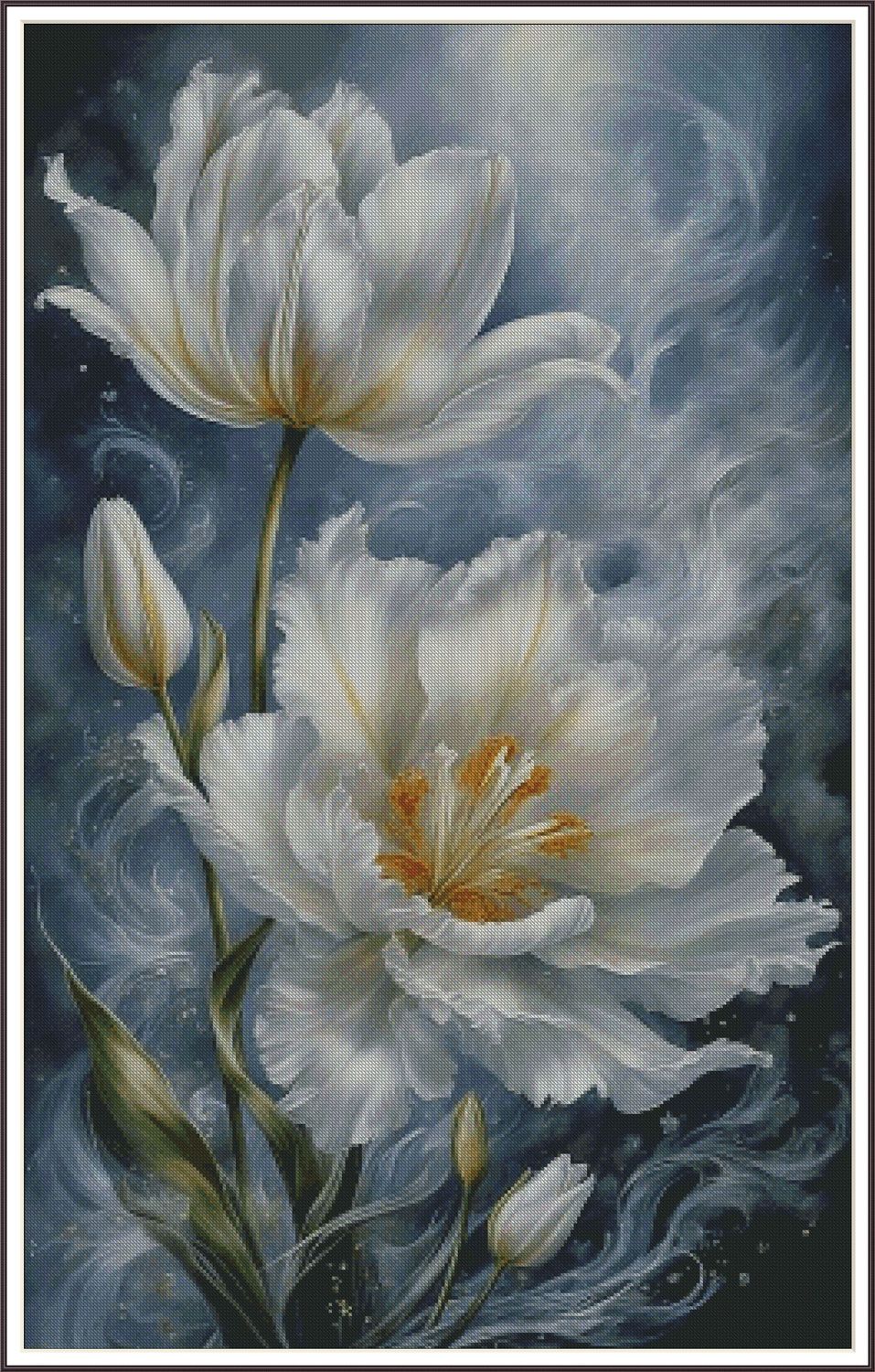A gracefully blooming tulip