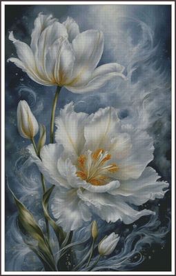 A gracefully blooming tulip