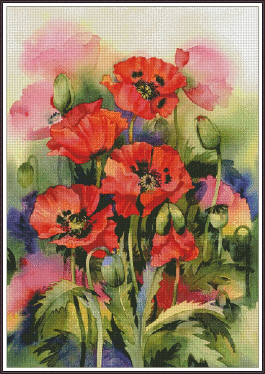 Red poppies