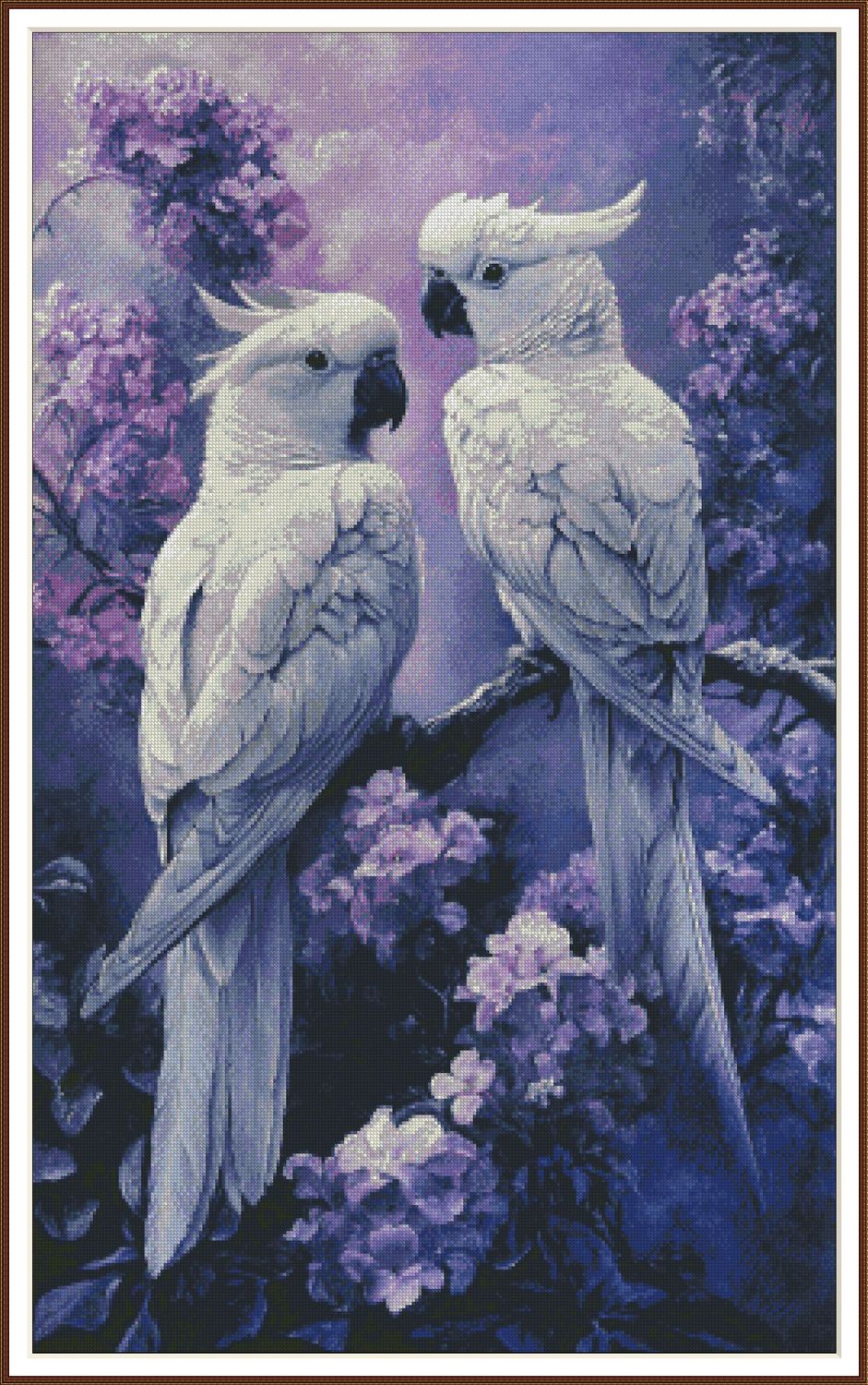 Vibrant Cockatoo