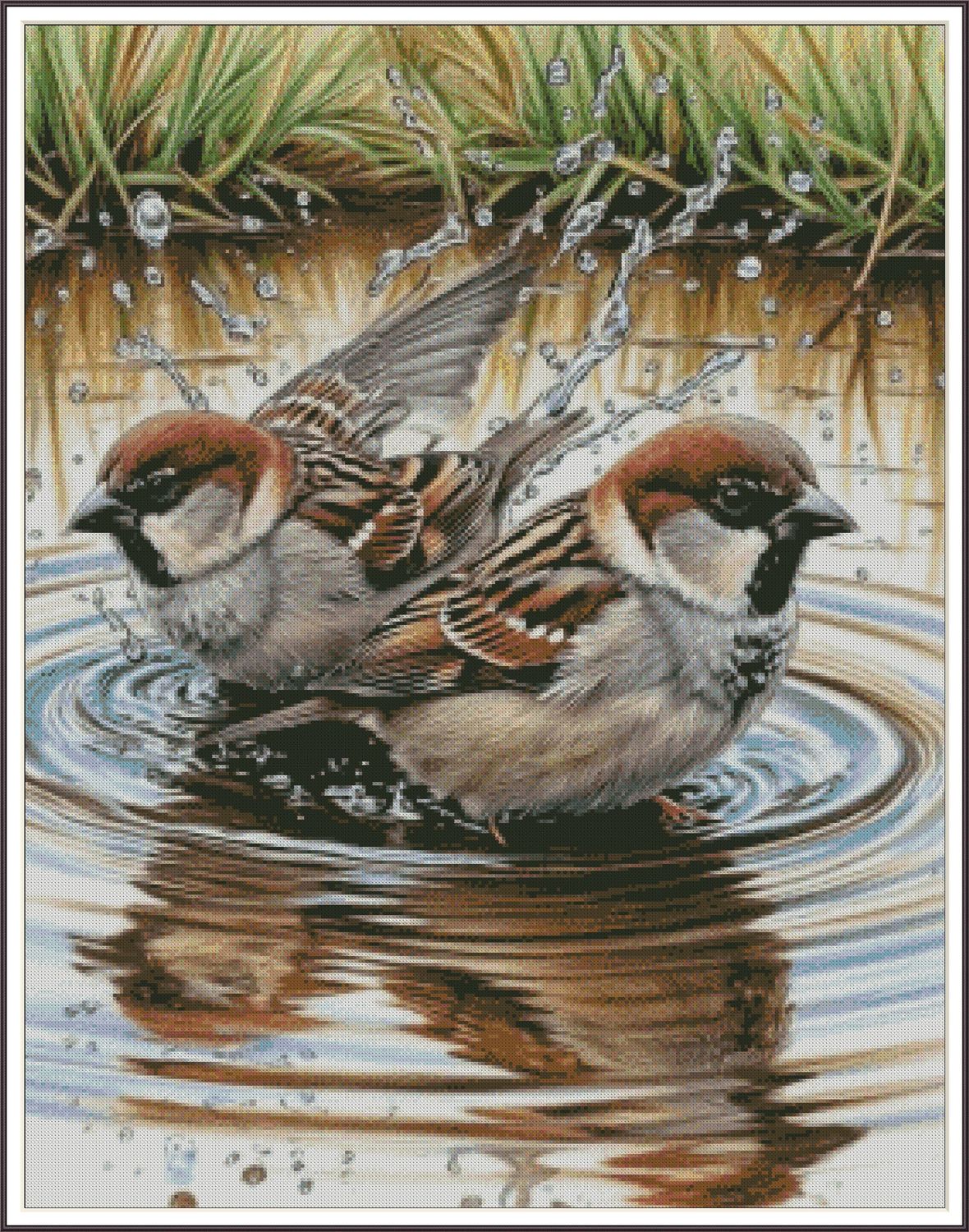 Sparrow&#39;s Day