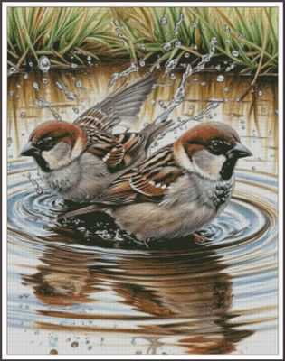 Sparrow&#39;s Day