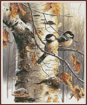 Chickadees in Birch Tree