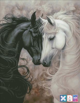 White &amp; Black Horses -2