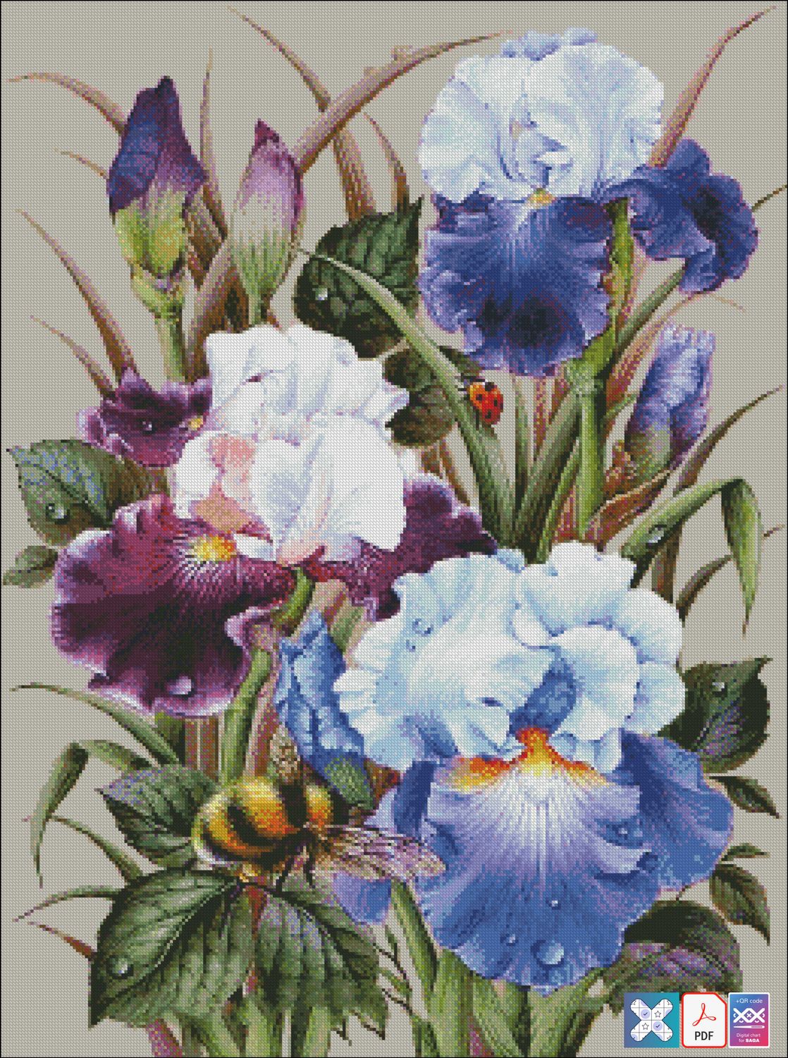 Purple Iris