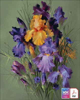 Violet irises