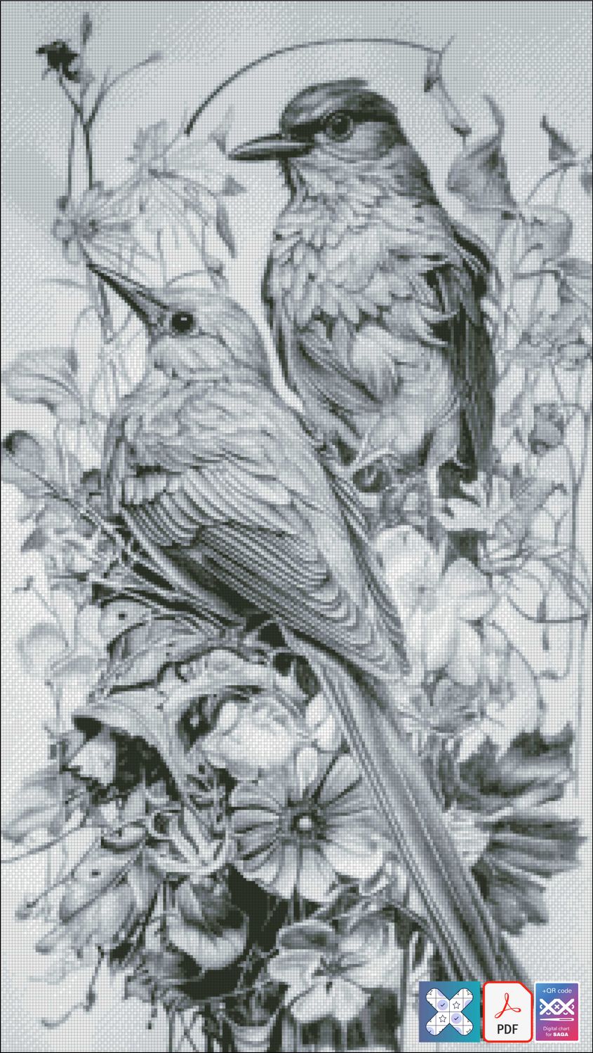 Magpie Birds