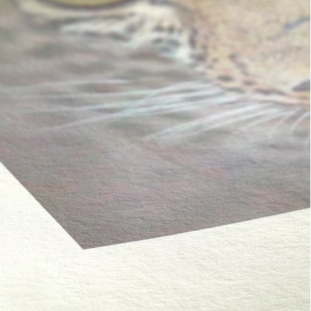 Giclée Print - A3 (297mm x 420mm)