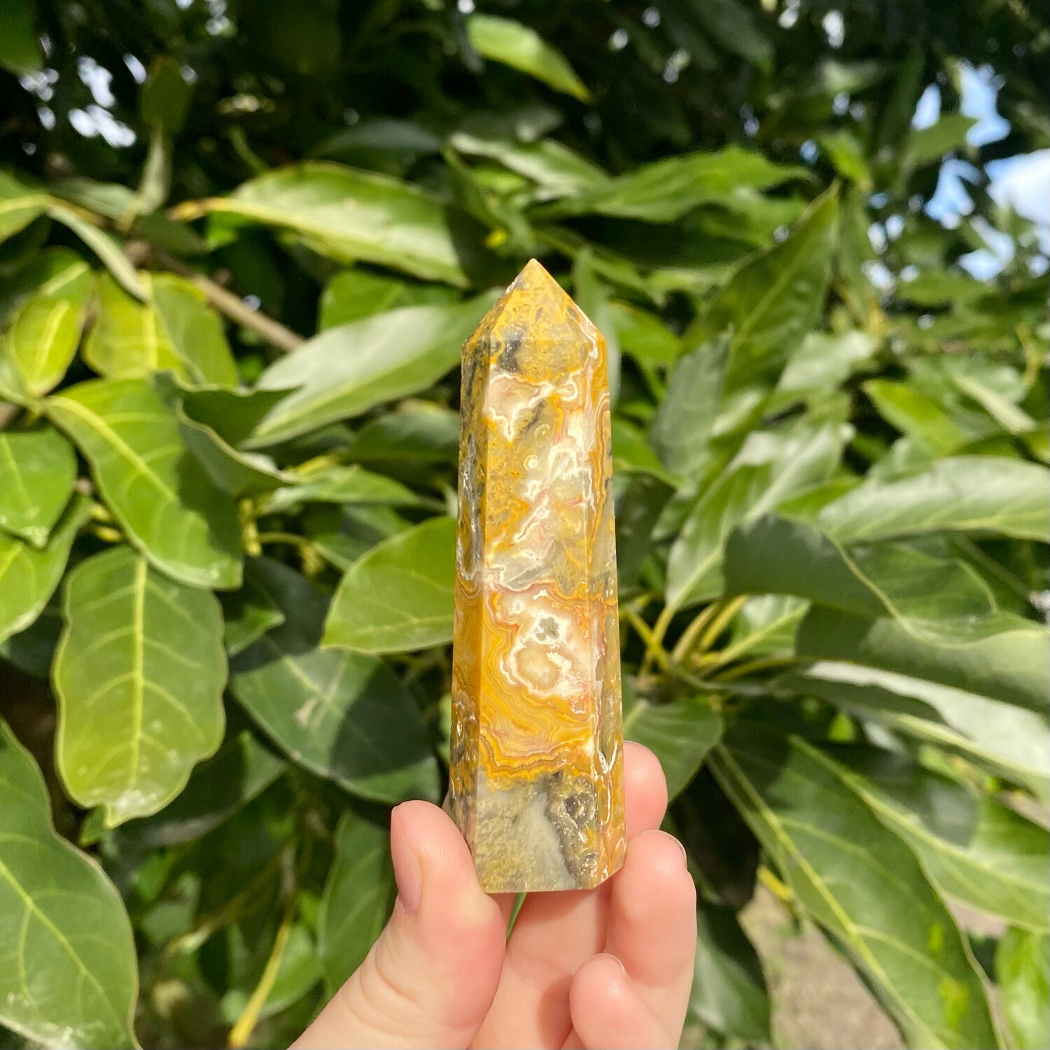 Crazy Lace Agate Point