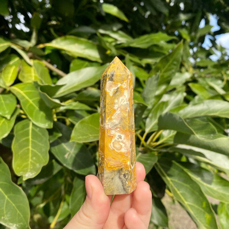 Crazy Lace Agate Point