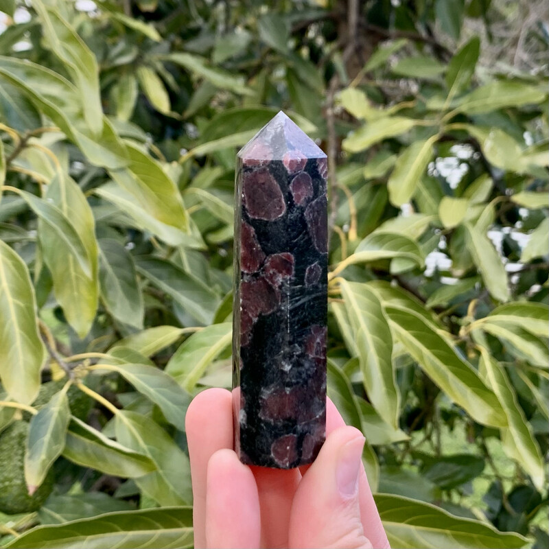 Garnet Point