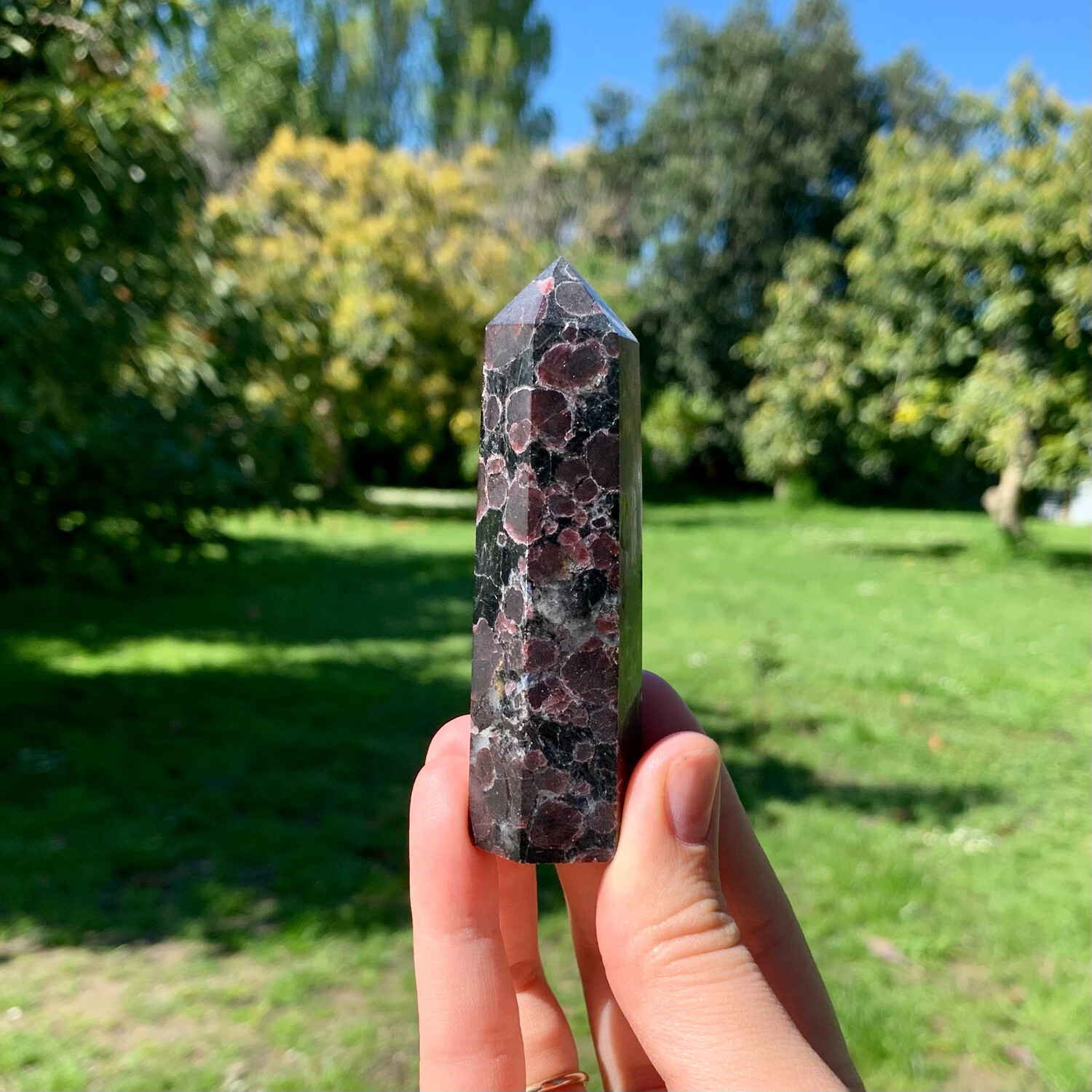 Garnet Point