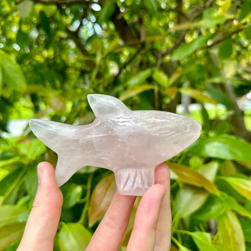 Rose Quartz Shark