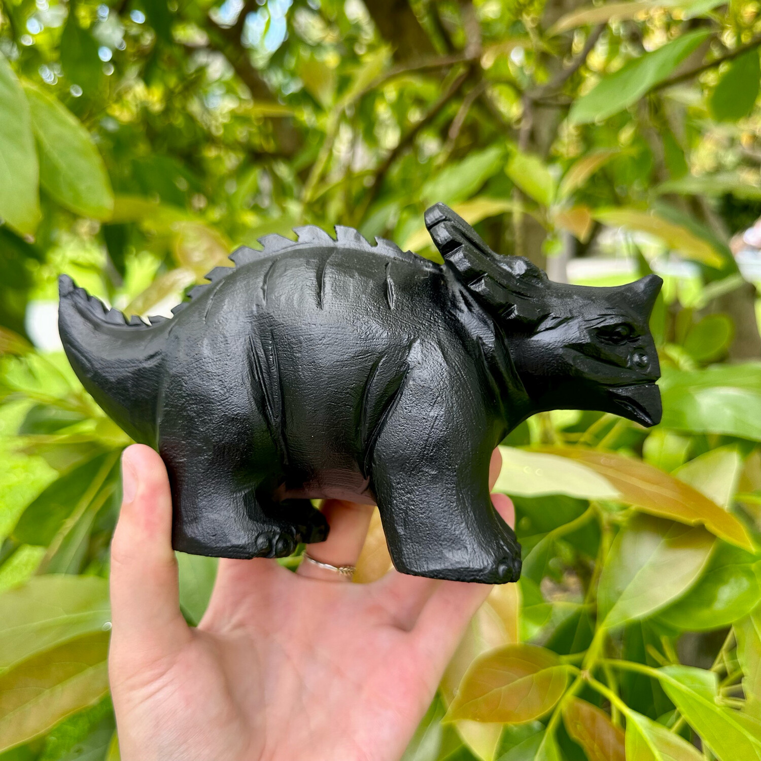 Black Obsidian Triceratops