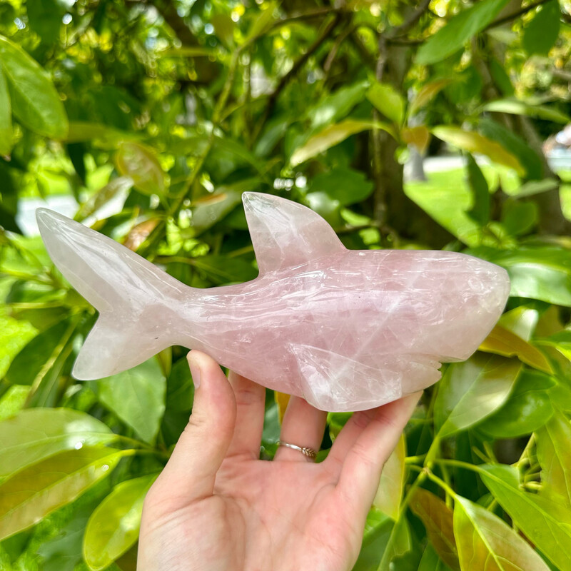 Rose Quartz Shark