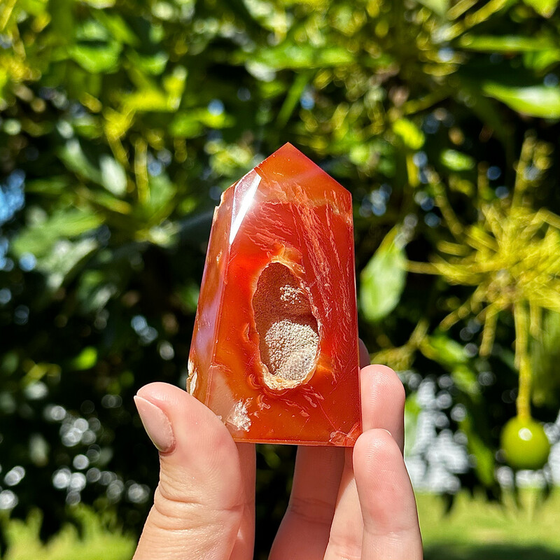 Carnelian With Flower Agate Point