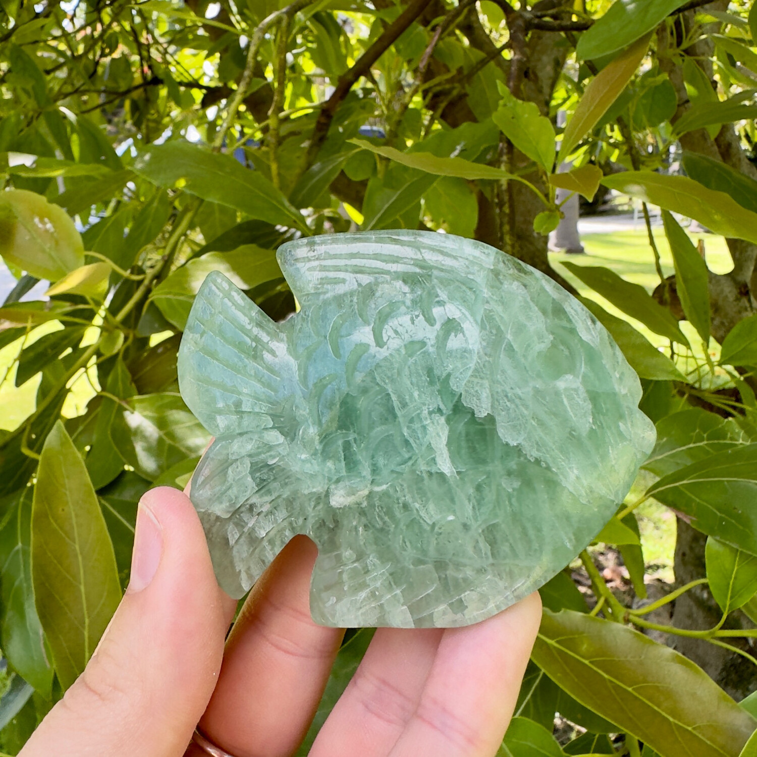 Green Fluorite Fish