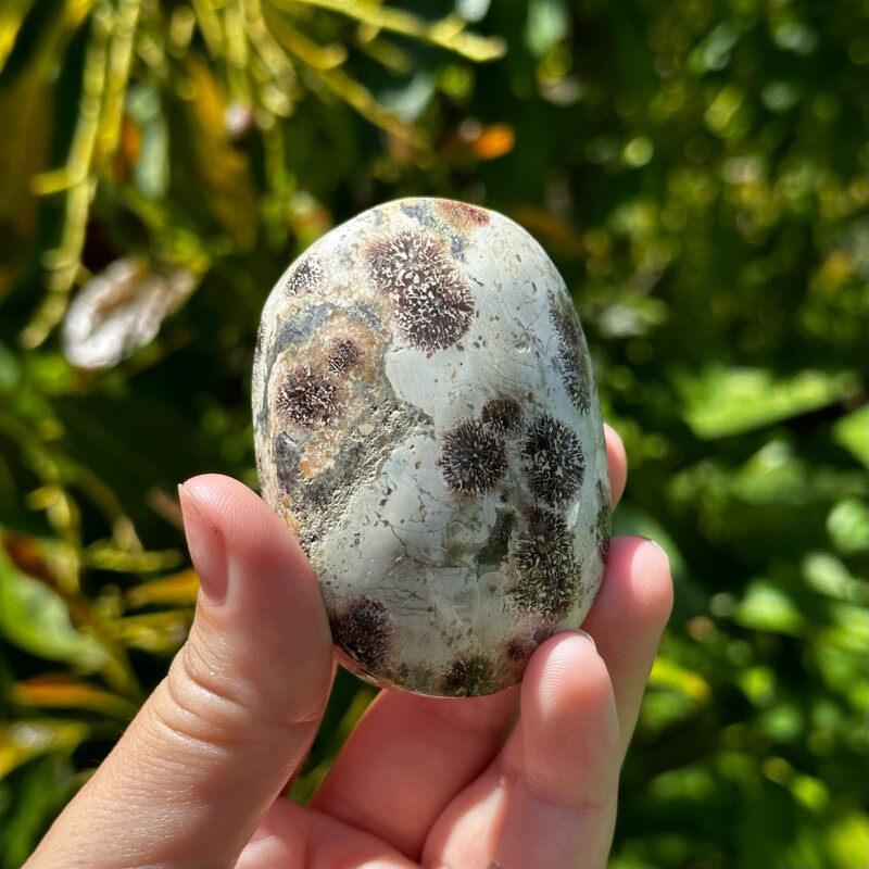 Russian Flower Jasper Palm