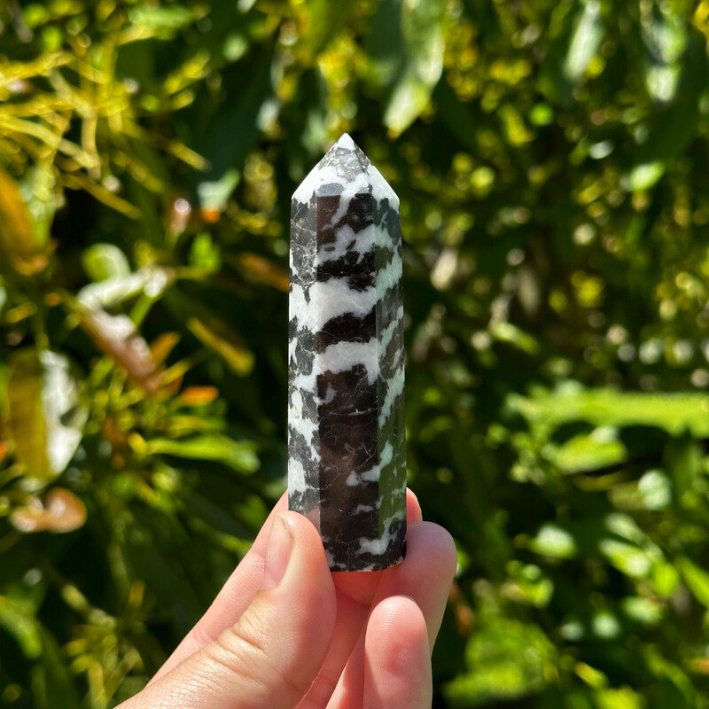 Zebra Jasper Point