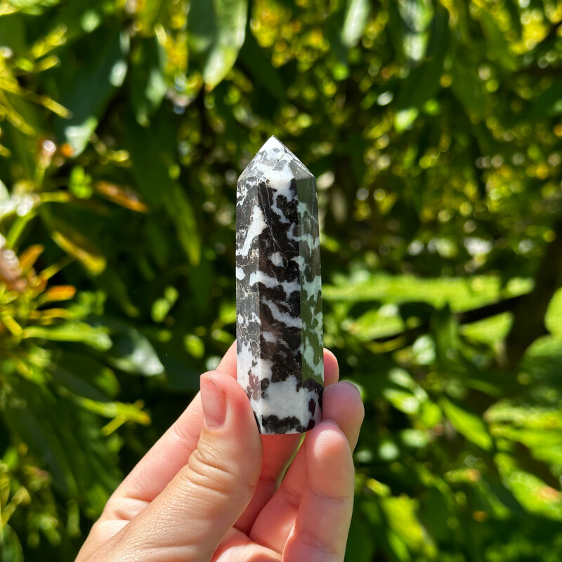Zebra Jasper Point