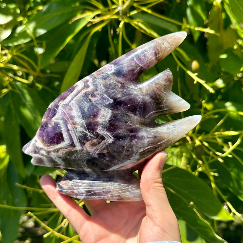 Chevron Amethyst Fish
