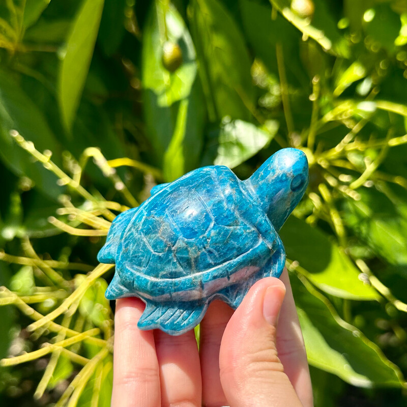 Blue Apatite Turtle