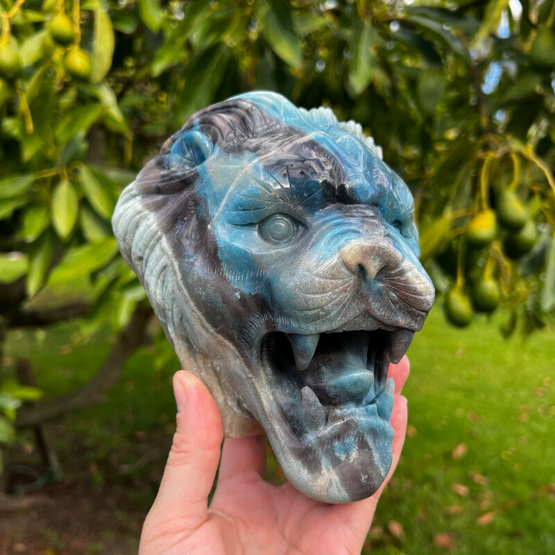 Trolleite Lion 🦁 2.9kg!
