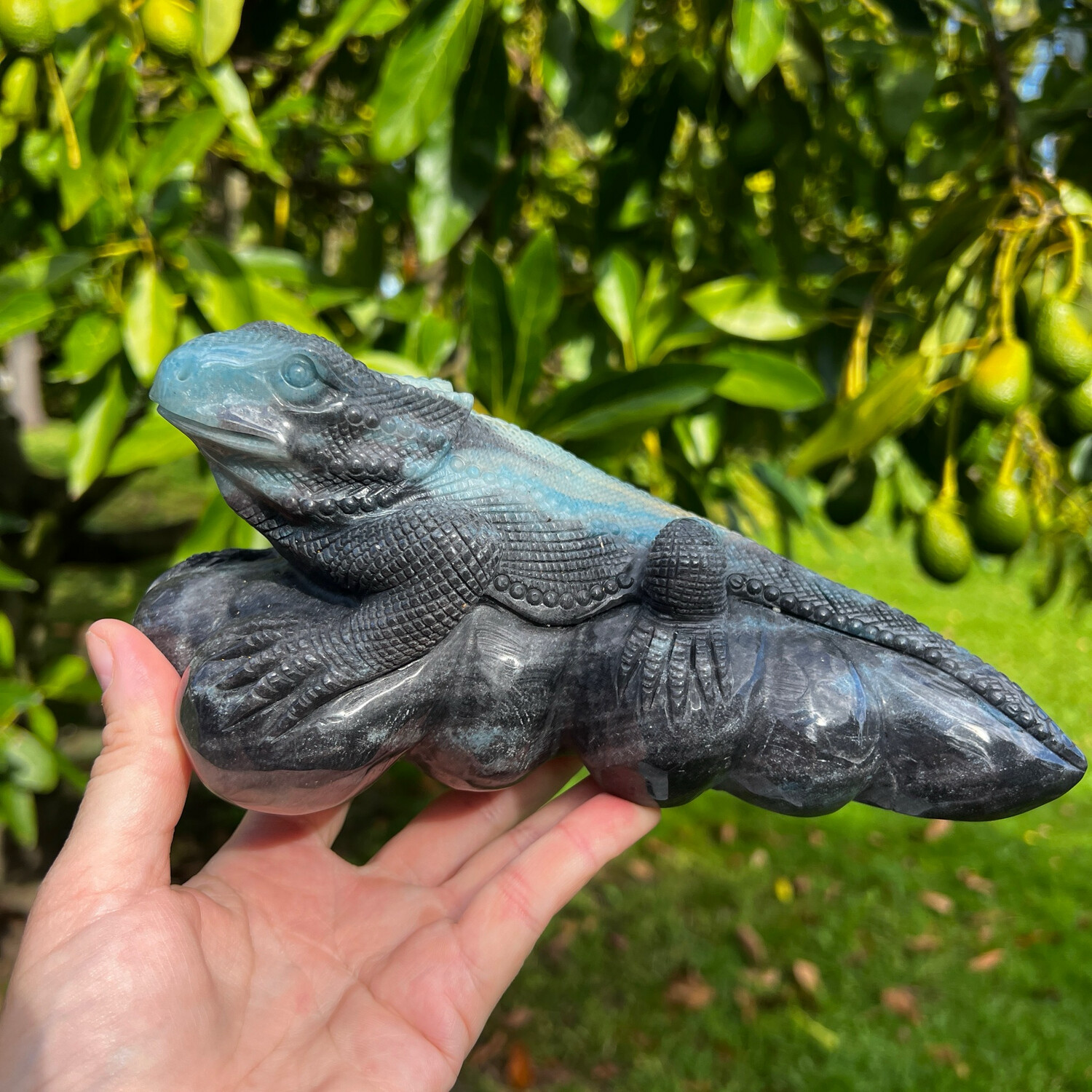 Trolleite Lizard 1.9kg