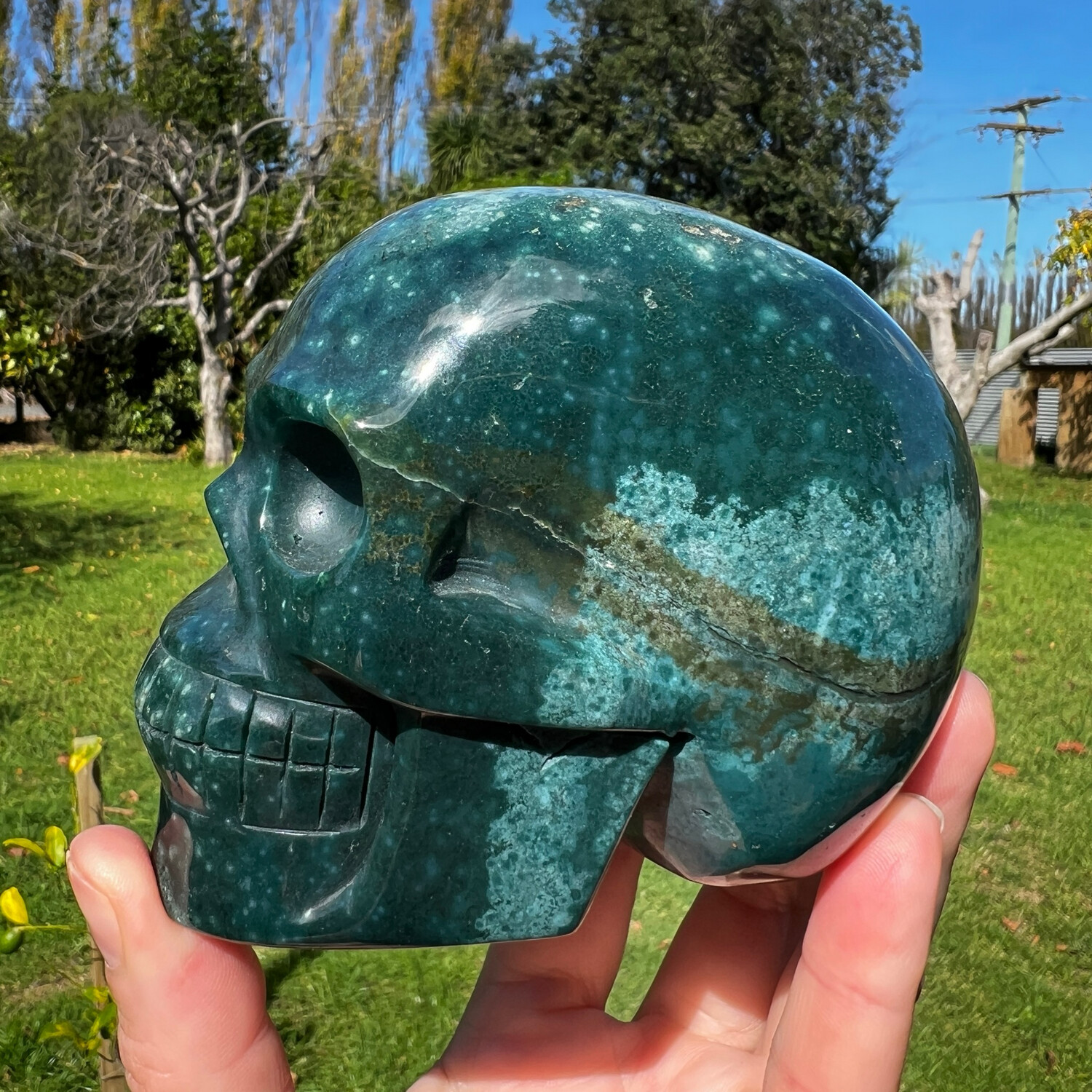 Ocean Jasper Skull 1.1KG